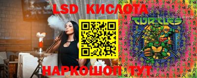 прущие грибы Конаково