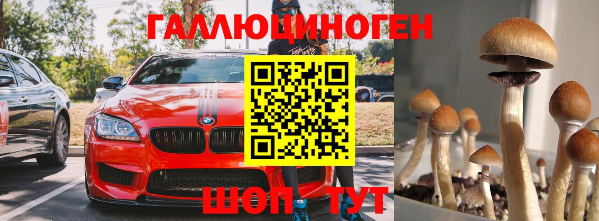 Галлюциногенные грибы прущие грибы Кинель